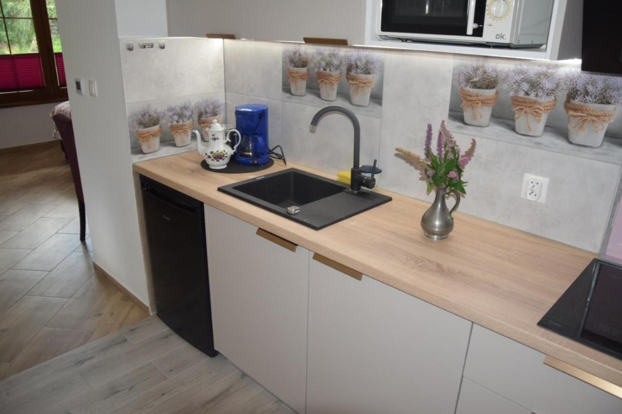 Ferienwohnung Avila , Stadtmitte Karpacz Zewnętrze zdjęcie